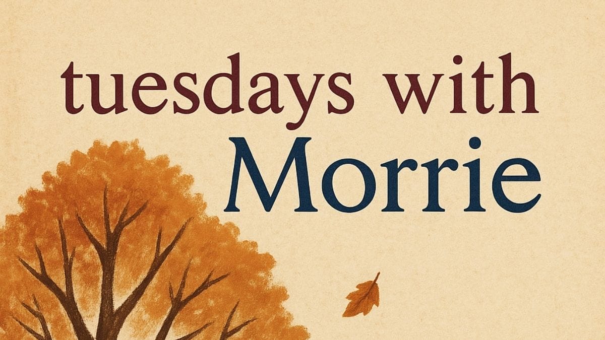 Tuesdays with Morrie by Mitch Albom conceptual book cover