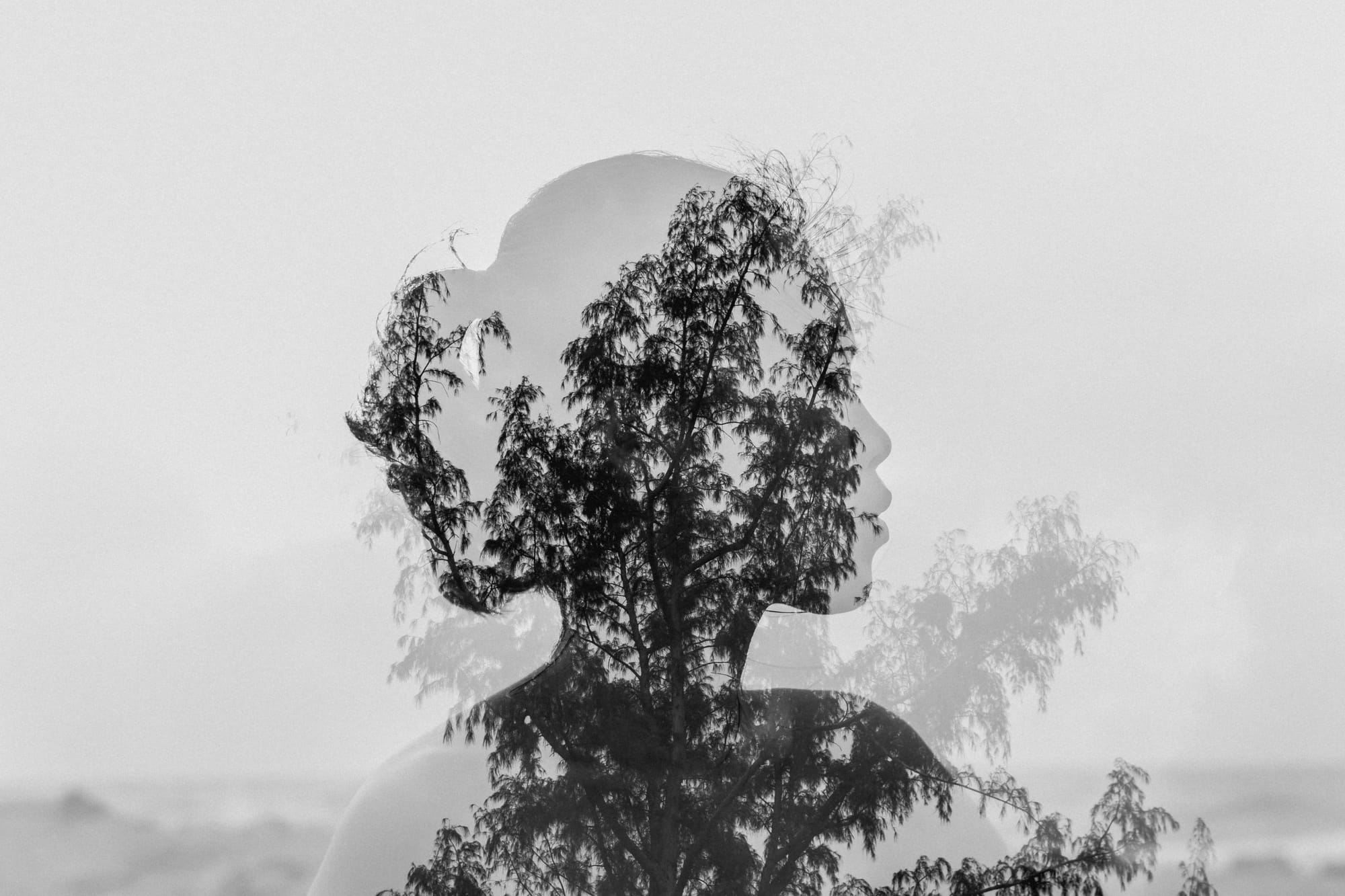 Nothing Is Truly Serious in the Man-Made World of Abstraction